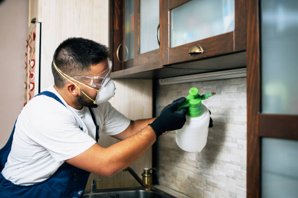 Best Pest Control Near Me  in Buckhead Ridge, FL