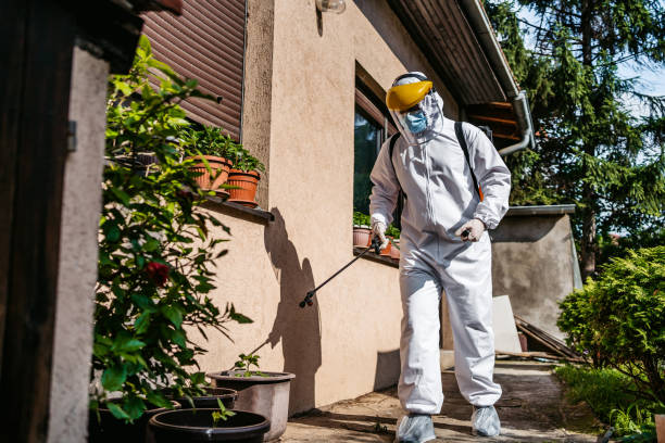Best Residential Pest Control  in Buckhead Ridge, FL