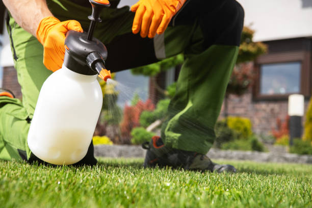 Best Local Pest Control Services  in Buckhead Ridge, FL