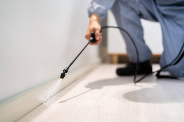 Professional Pest Control in Buckhead Ridge, FL