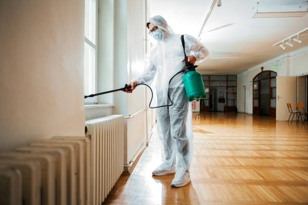 Best Emergency Pest Control  in Buckhead Ridge, FL