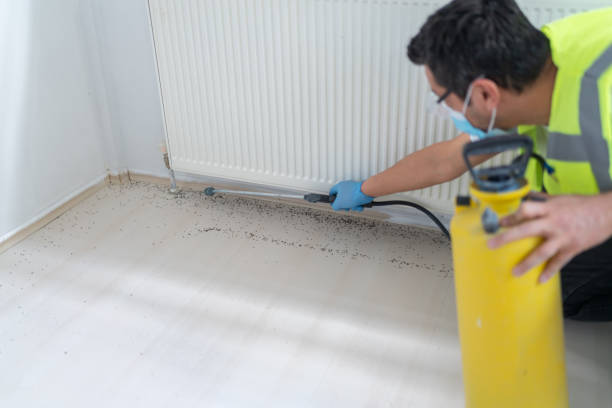 Best Ant Control Services  in Buckhead Ridge, FL